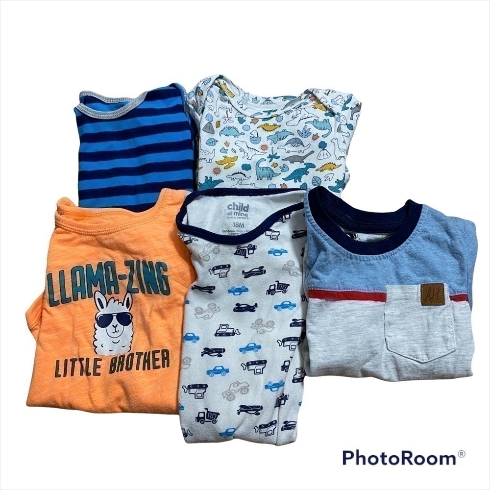18 mos Boy Clothing Bundle Onesie Llama Brother Carter’s Dinosaur Cars